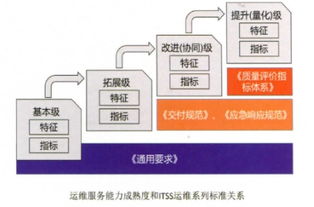 ITSS符合性評估與網(wǎng)絡(luò)技術(shù)服務(wù) 推動信息服務(wù)的標(biāo)準(zhǔn)化與高質(zhì)量發(fā)展
